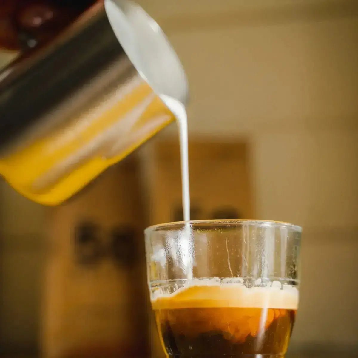 Bellezza Home Espresso Bundle - Bellona Dual Boiler Espresso & Piccola Grinder Coffee Beans Free from Prime Coffee Suppliers