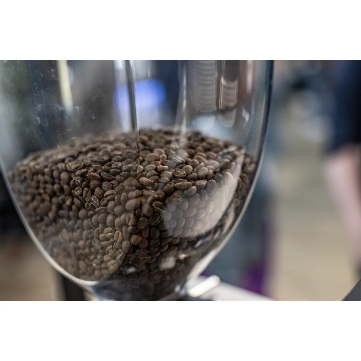 Fiorenzato F83 XGi Coffee Grinder - Flat 83mm Burr