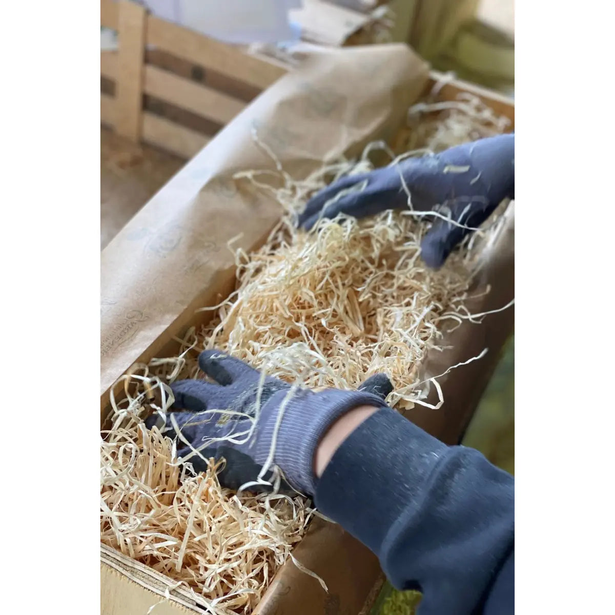 Free Coffee Plant With Your Order over £800 - Prime Coffee Suppliers