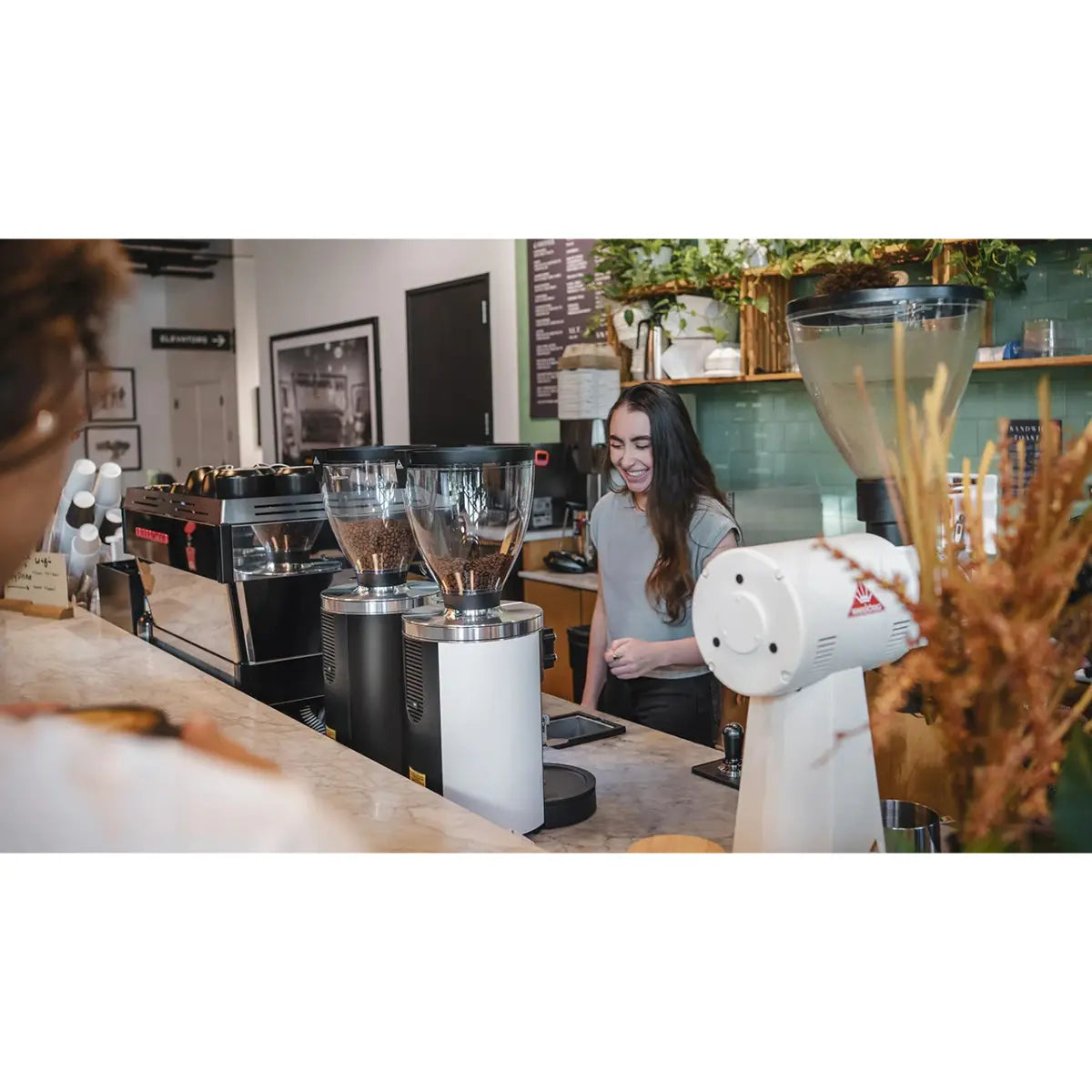 Barista Attitude Storm Profilo 2 Group + Mahlkonig E80W GBS Grinder - Commercial Bundle Kit
