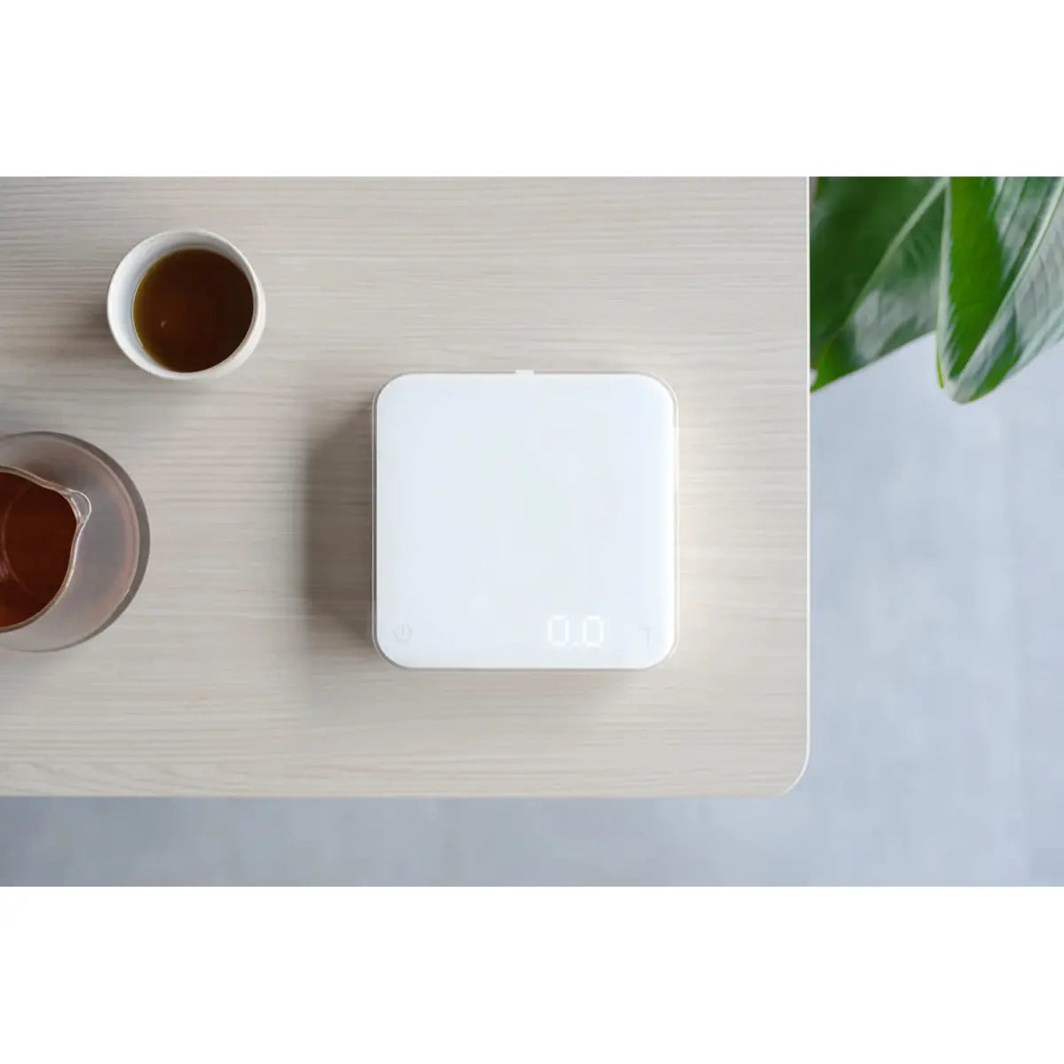 Acaia Pearl Model S Scale