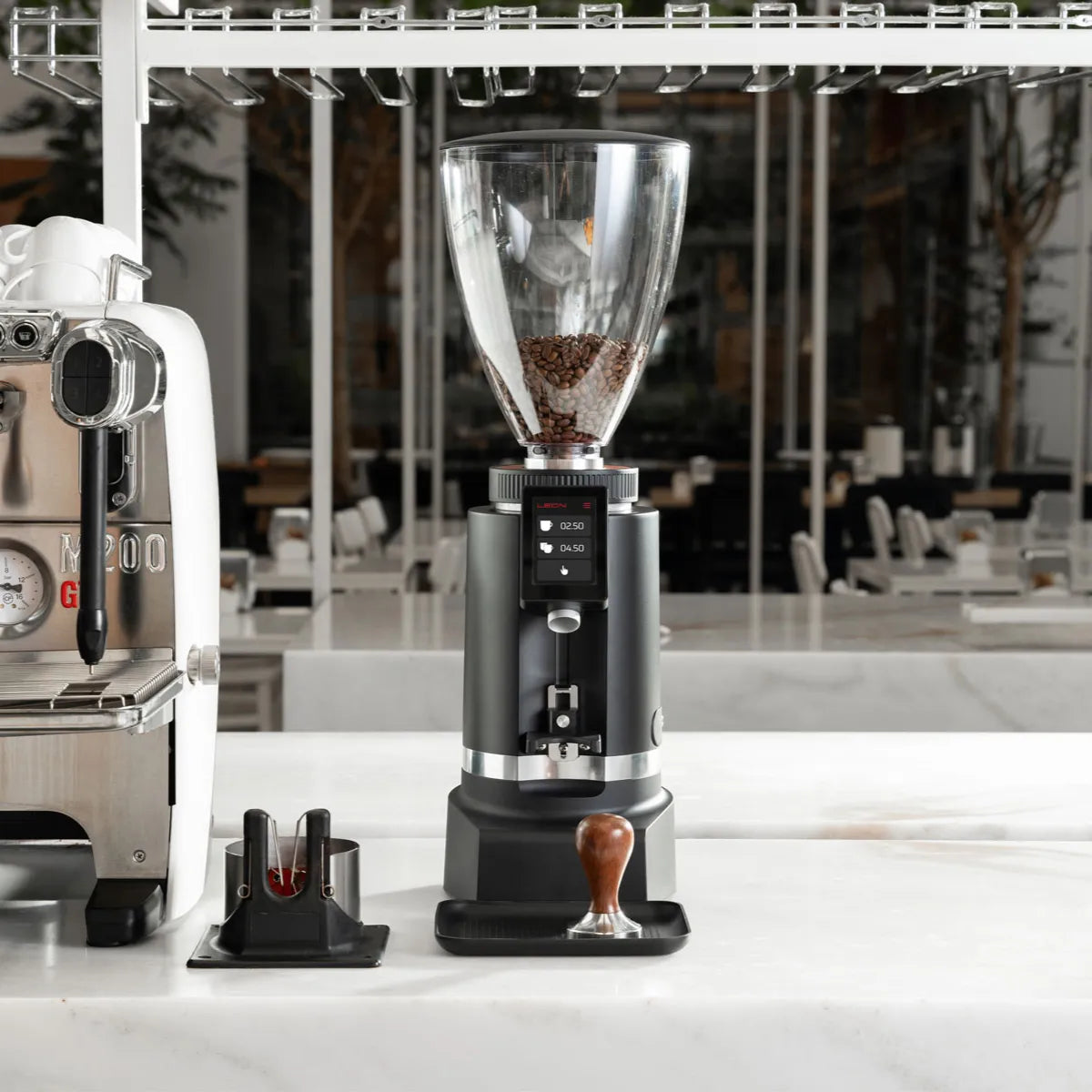 Ceado Leon 700 | Professional Medium-Volume Espresso Grinder