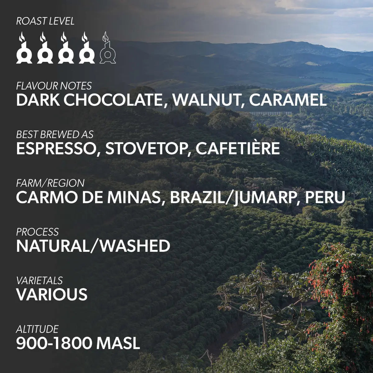 Chimney Fire Americas Coffee Beans - Dark Chocolate, Caramel, Walnut