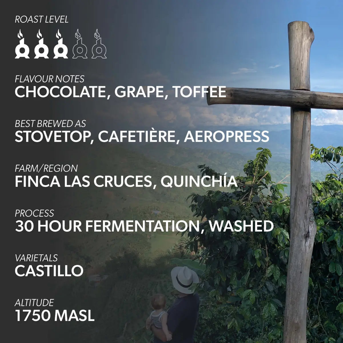 Chimney Fire Colombia Coffee Beans - Chocolate, Grape, Toffee