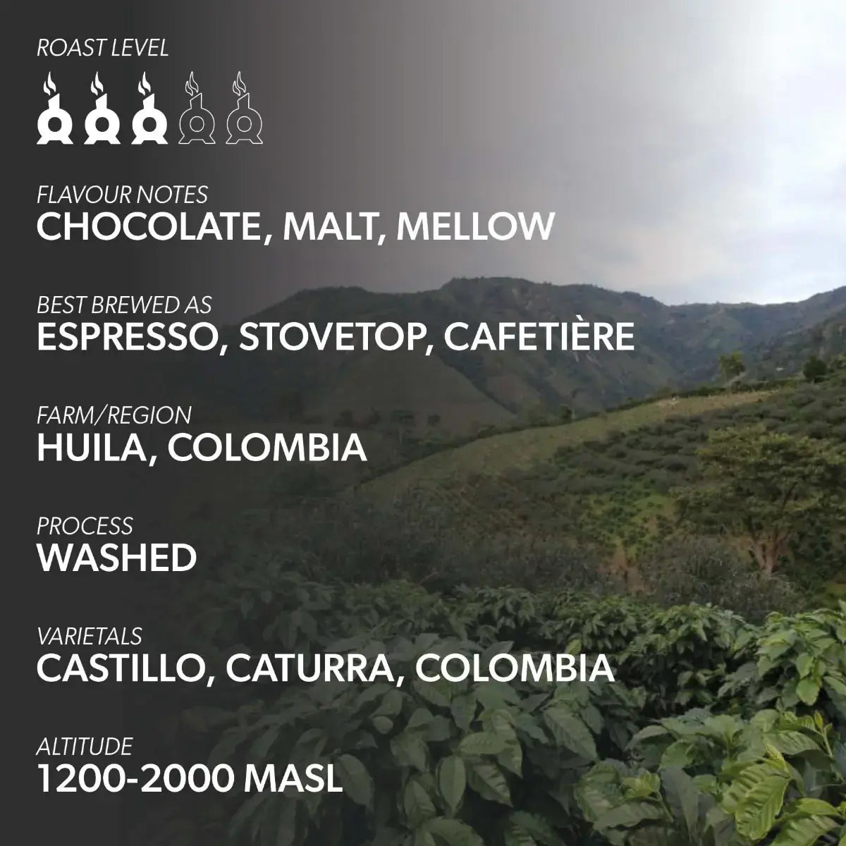 Chimney Fire Decaf Coffee Beans - Chocolate, Malt, Mellow