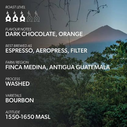 Chimney Fire Guatemala Coffee Beans - Dark Chocolate, Orange, Smooth