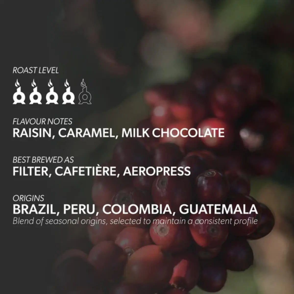 Chimney Fire House Filter Blend - Raisin, Caramel, Milk Chocolate