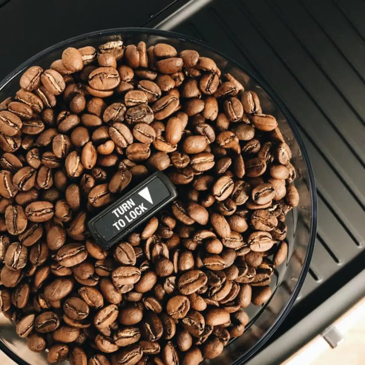 Chimney Fire Introductory Taster Packs