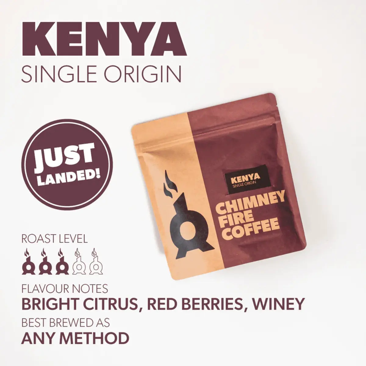 Chimney Fire Kenya Coffee Beans - Bright Citrus, Red Berries, Winey