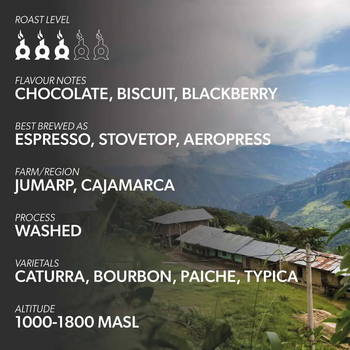 Chimney Fire Peru Coffee Beans - Chocolate, Biscuit, Blackberry