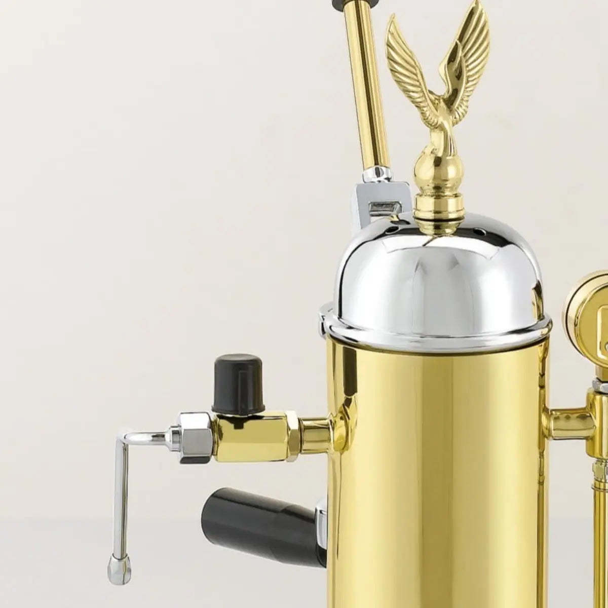 Elektra Micro Casa Leva Espresso Machine Chrome Brass