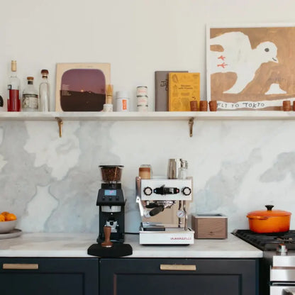 La Marzocco Linea Mini R EE Espresso Machine + Pico Grinder Home Bundle Kit - Prime Coffee Suppliers