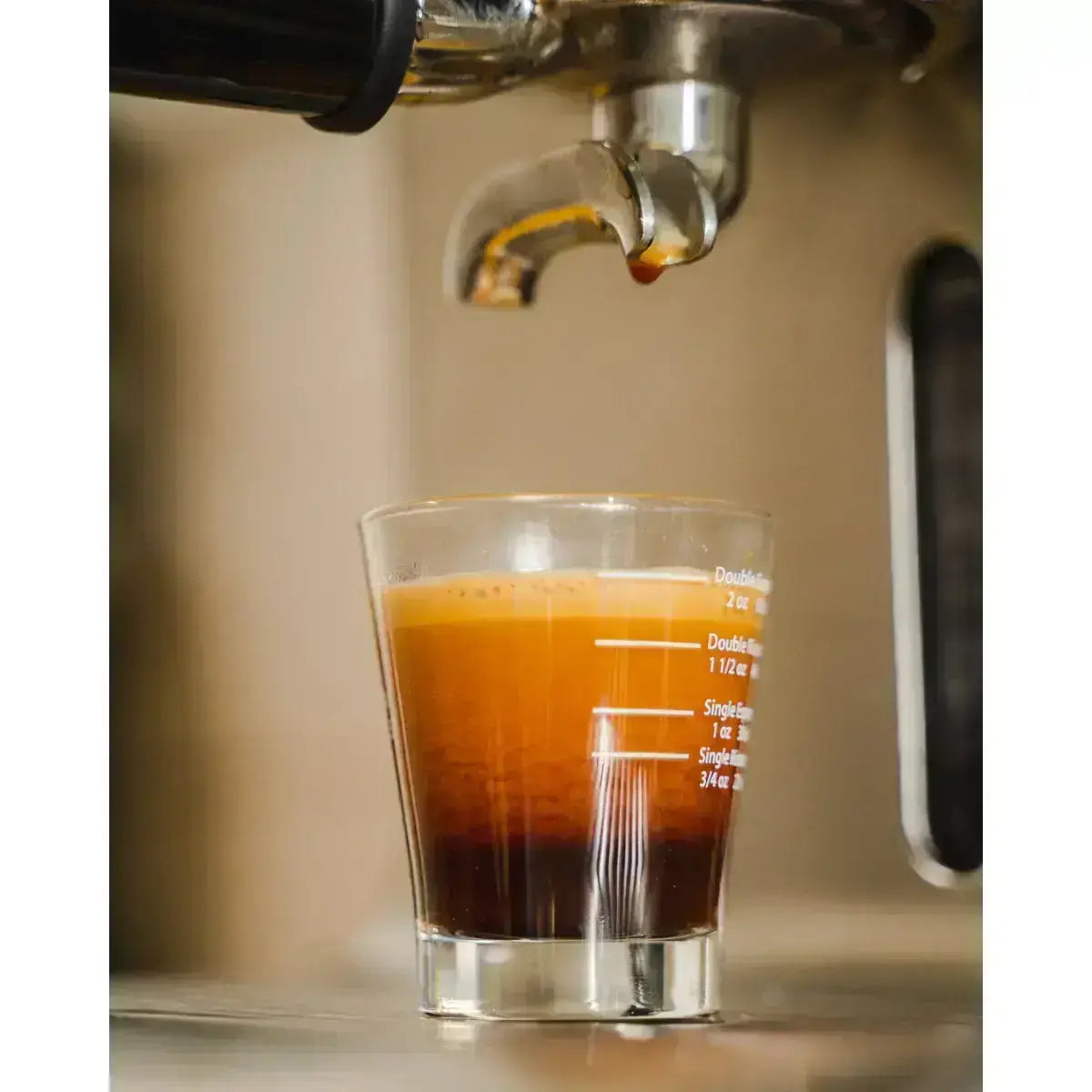 MONT58 Cold Brew Blend Coffee Beans