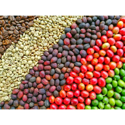 MONT58 Cold Brew Blend Coffee Beans beans