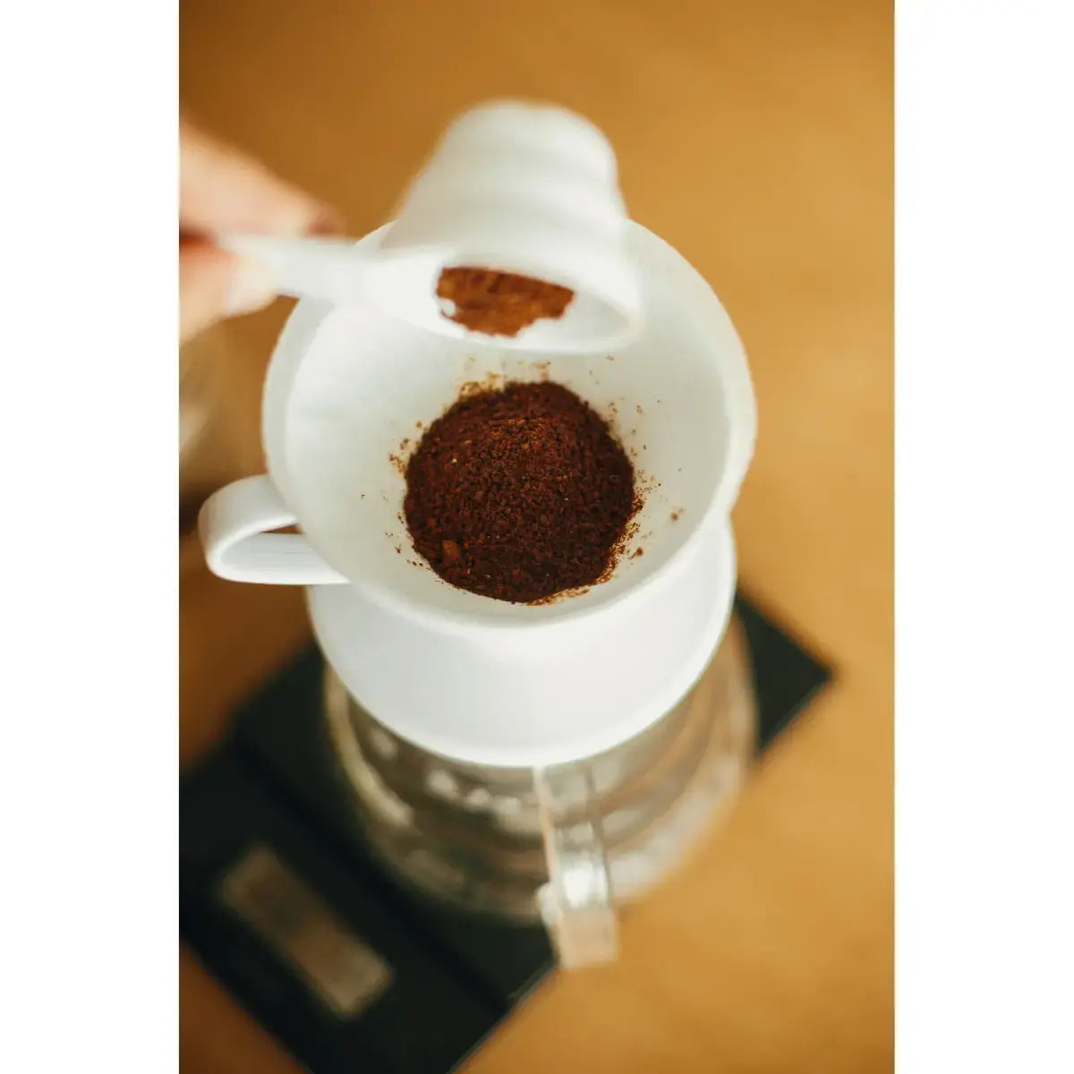 MONT58 Ecuador Single Origin Coffee Beans