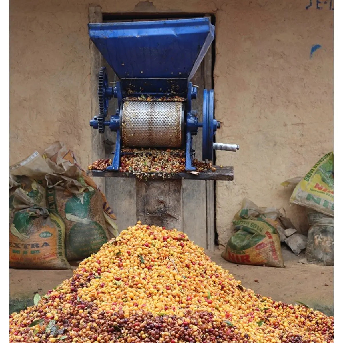 MONT58 Natural Decaf Coffee Beans