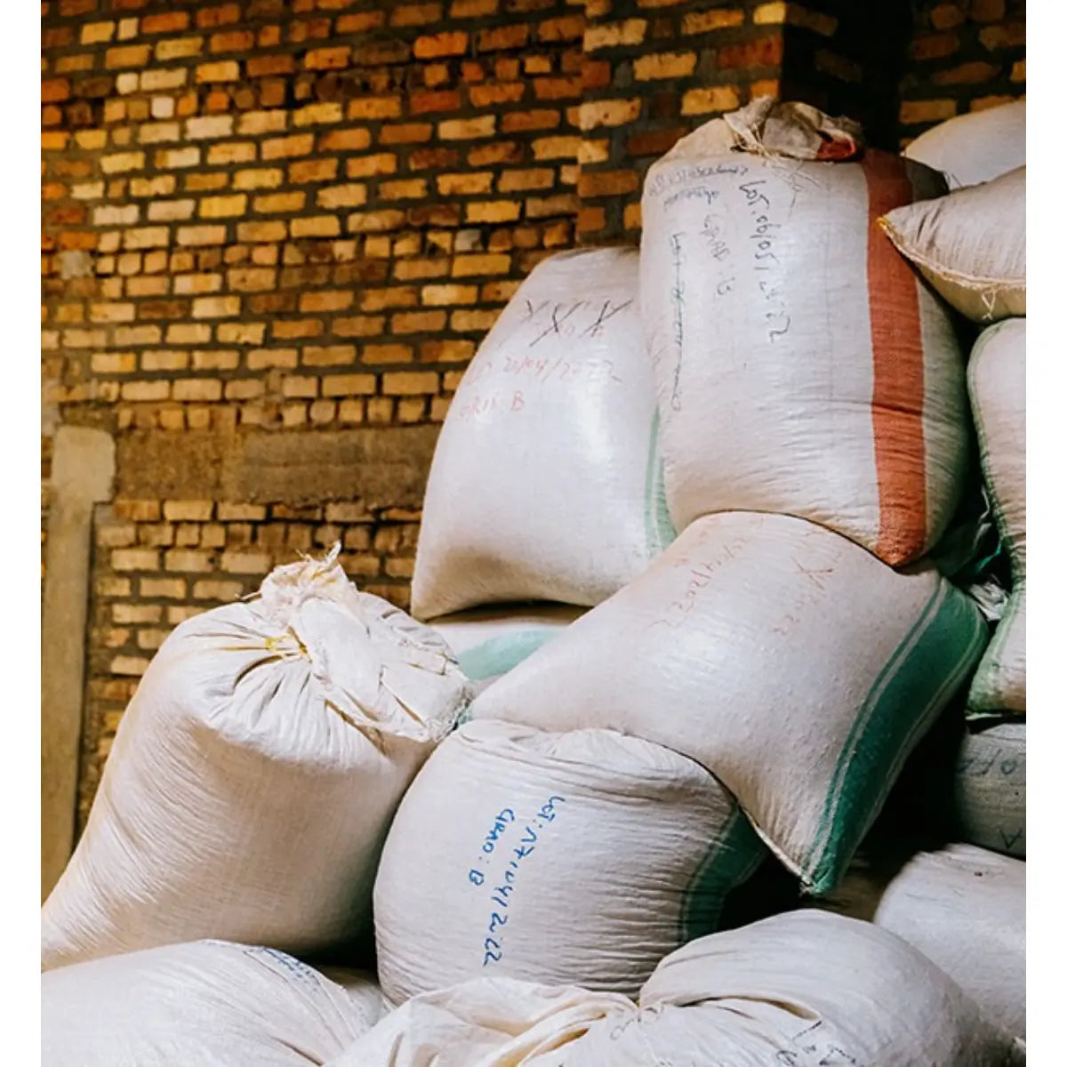 MONT58 Rwanda Single Origin Coffee Beans