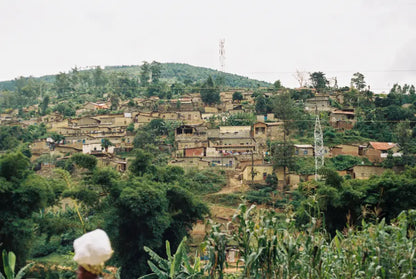 MONT58 Colombia Single Origin Coffee Beans