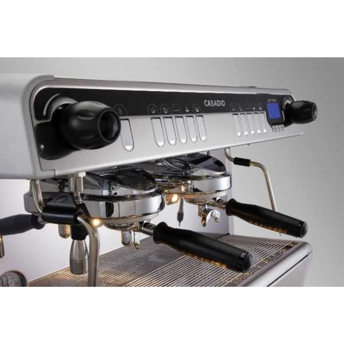 Casadio Nettuno Professional Grade Espresso Machine