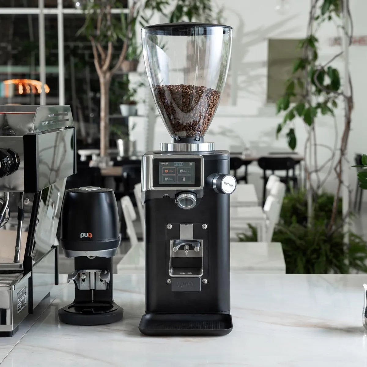 Ceado Rev Titan High Volume Speed & Anti Retention Power Espresso Grinder - Espresso Grinder - Prime Coffee Suppliers