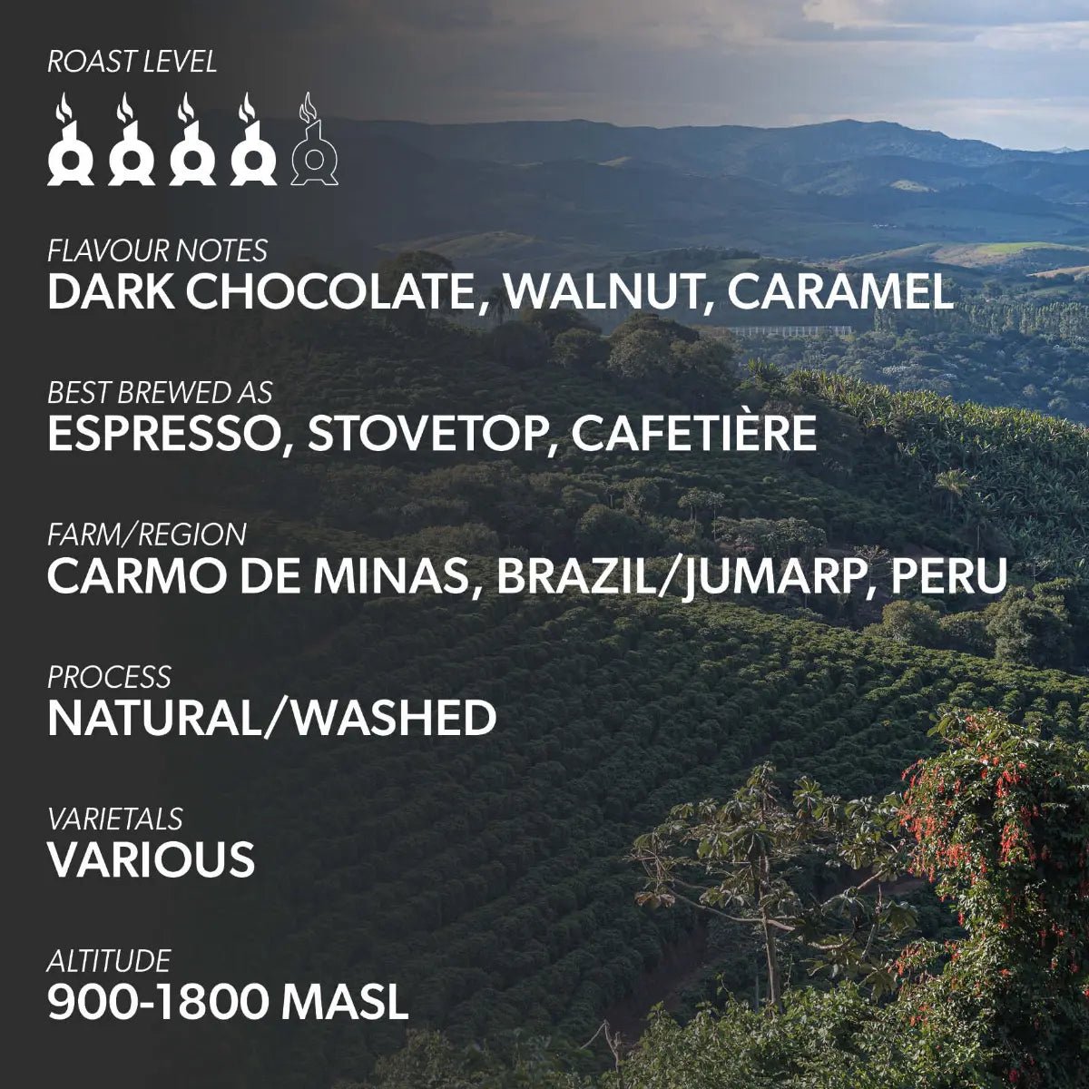 Chimney Fire - Chimney Fire Americas Signature Blend Coffee Beans - Dark Chocolate, Caramel, Walnut - Coffee Beans - Prime Coffee Suppliers