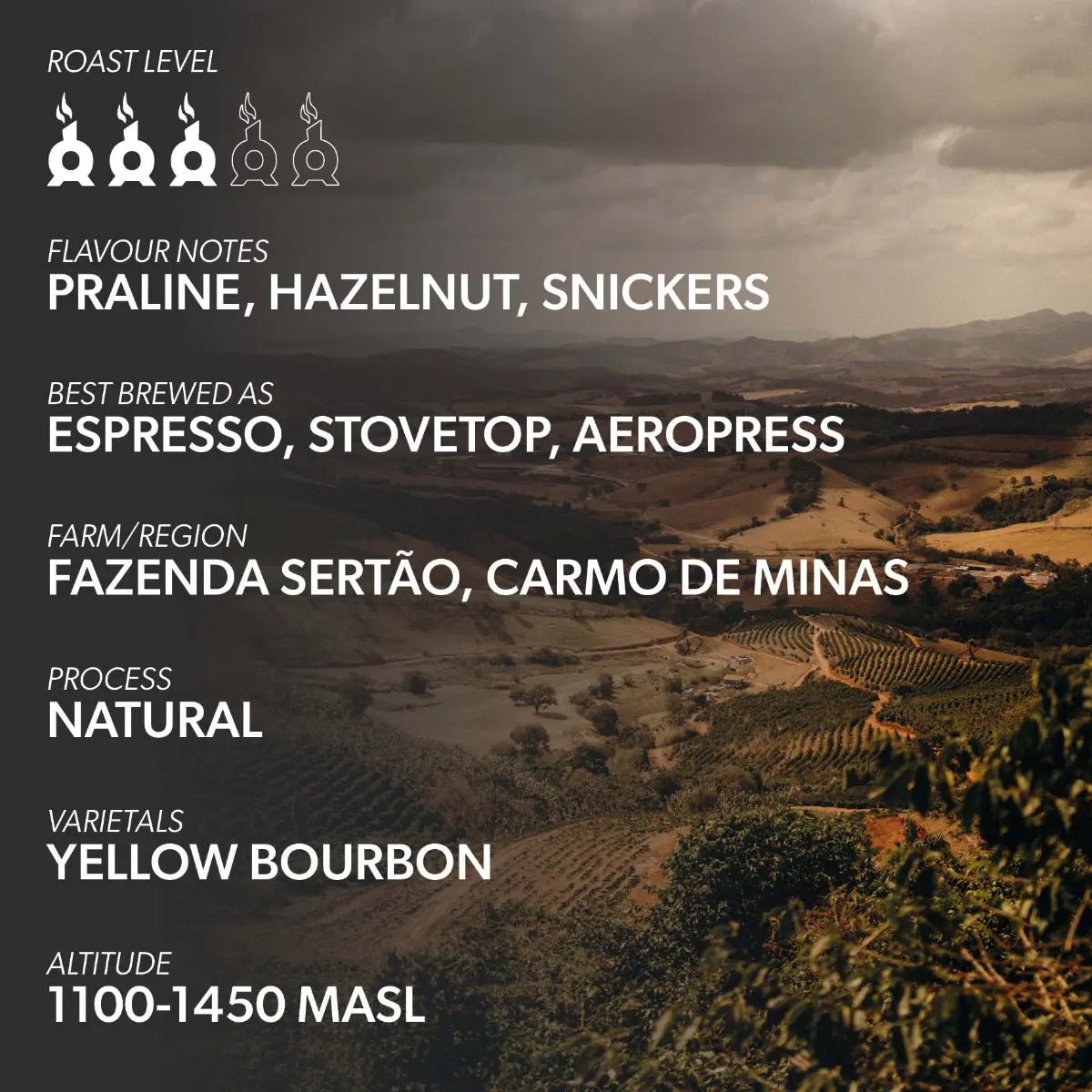 Chimney Fire - Chimney Fire Brazil Coffee Beans - Praline, Hazelnut, Snickers - Coffee Beans - Prime Coffee Suppliers