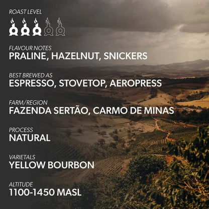Chimney Fire - Chimney Fire Brazil Coffee Beans - Praline, Hazelnut, Snickers - Coffee Beans - Prime Coffee Suppliers