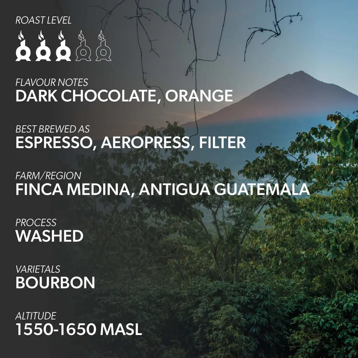 Chimney Fire - Chimney Fire Guatemala Coffee Beans - Dark Chocolate, Orange, Smooth - Coffee Beans - Prime Coffee Suppliers