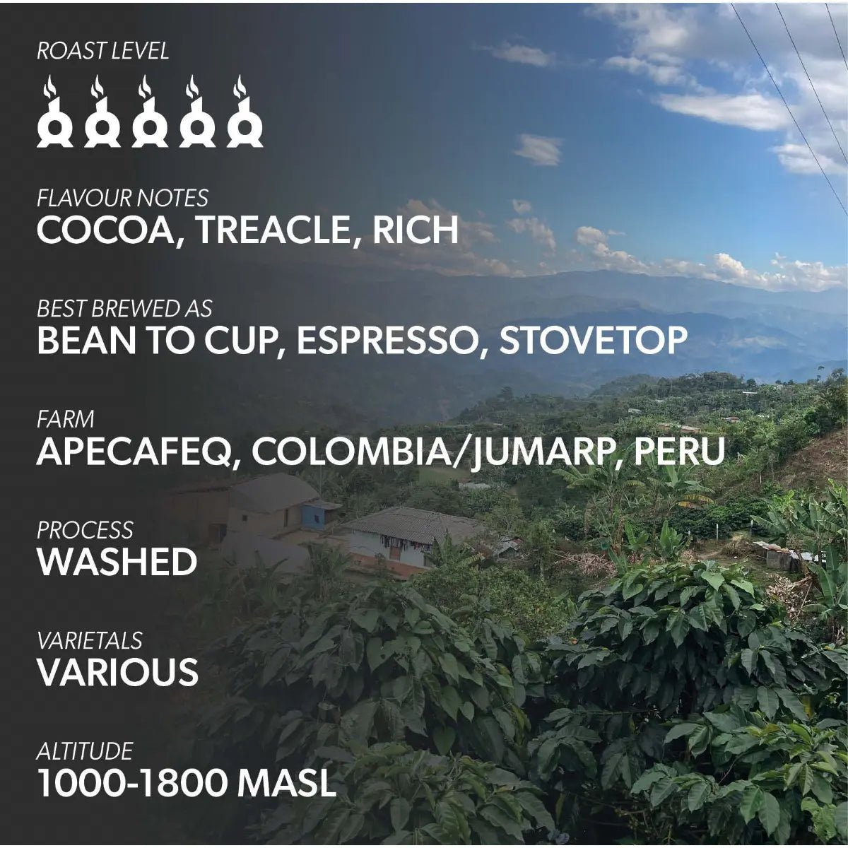 Chimney Fire - Chimney Fire Revival Classic Blend - Cocoa, Treacle, Rich - Coffee Beans - Prime Coffee Suppliers