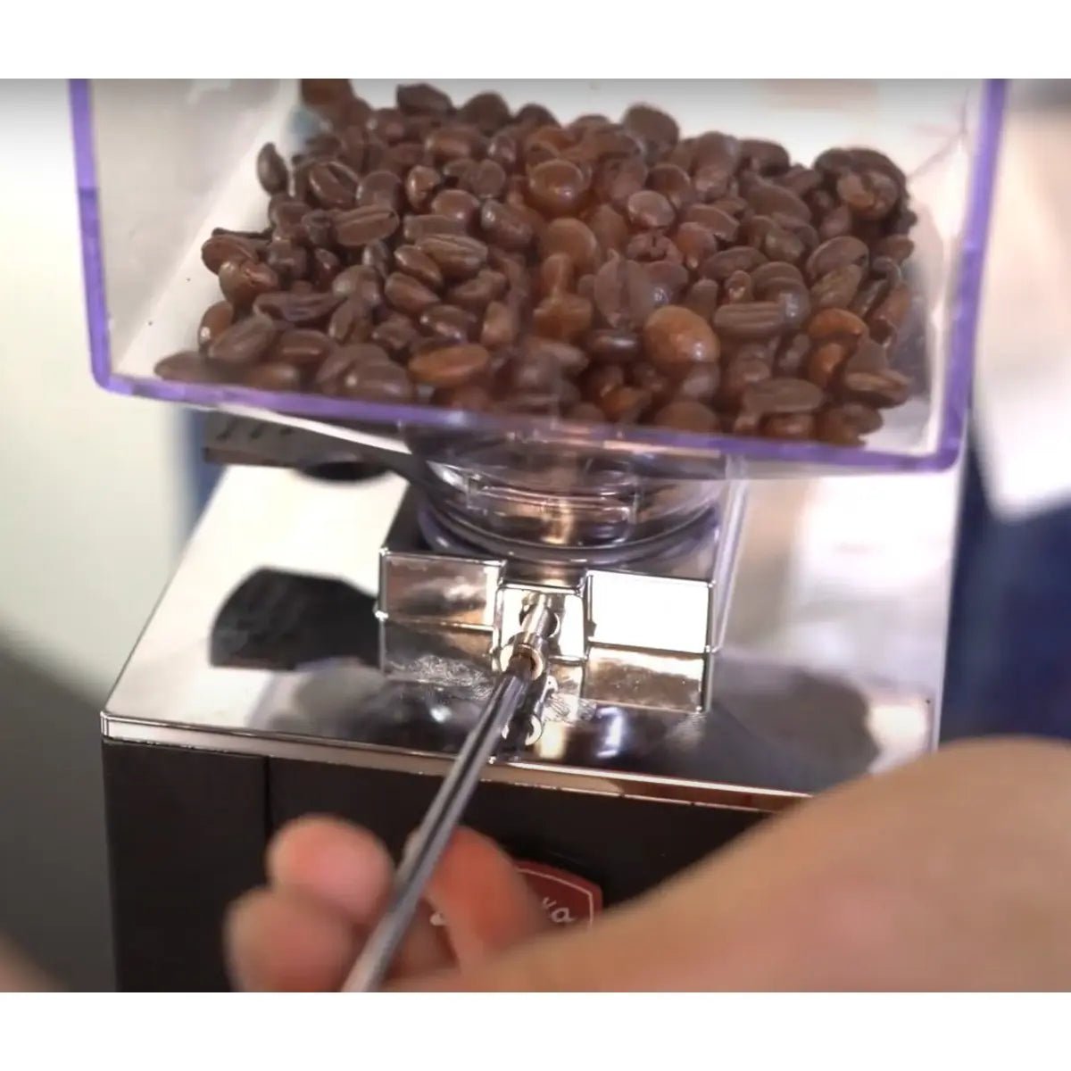 JESUK - Eureka Mignon Filtro Silent Coffee Grinder - 50mm Flat Burrs - Espresso Grinder - Prime Coffee Suppliers