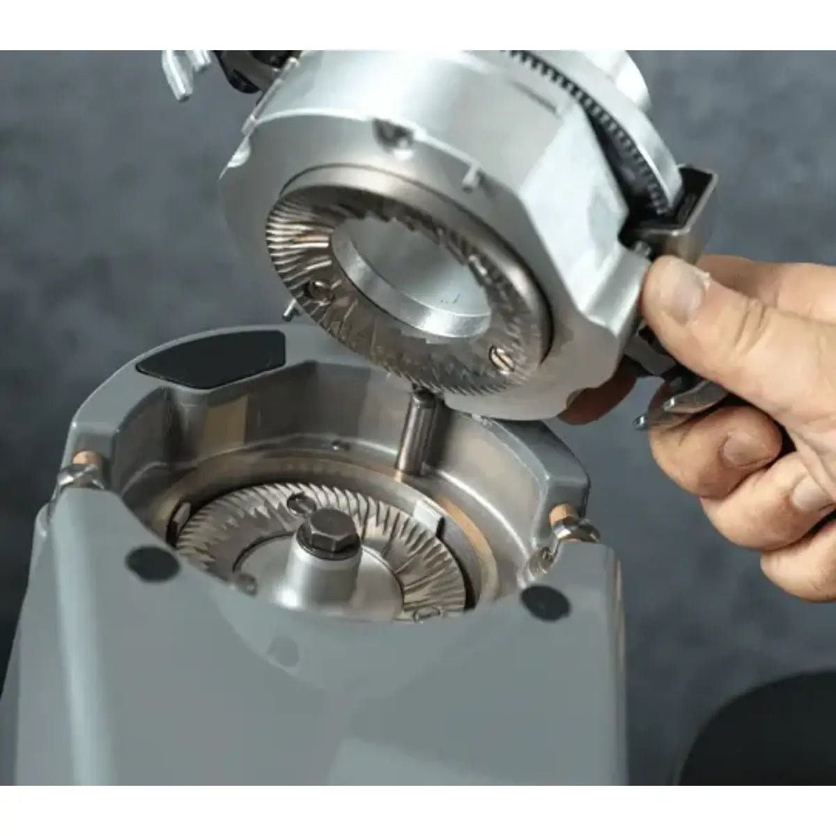 Fiorenzato - Fiorenzato F83 E Pro Coffee Grinder - On Demand - Espresso Grinder - Prime Coffee Suppliers