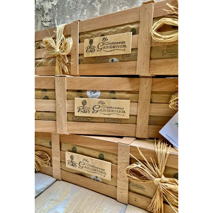 Prime Coffee Suppliers - Free Coffee Plant With Your Order - Accessories - Prime Coffee Suppliers