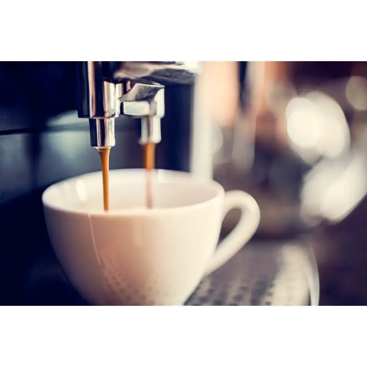 Mont58 - MONT58 Blend Coffee Beans - Coffee Beans - Prime Coffee Suppliers