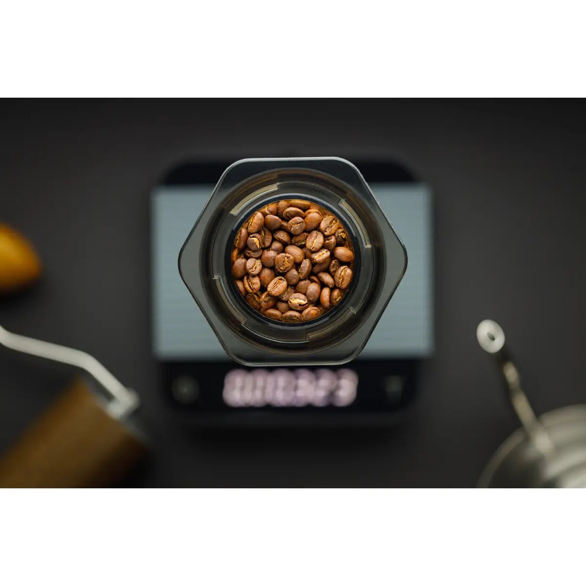 Mont58 - MONT58 El Salvador Single Origin Coffee Beans - Coffee Beans - Prime Coffee Suppliers