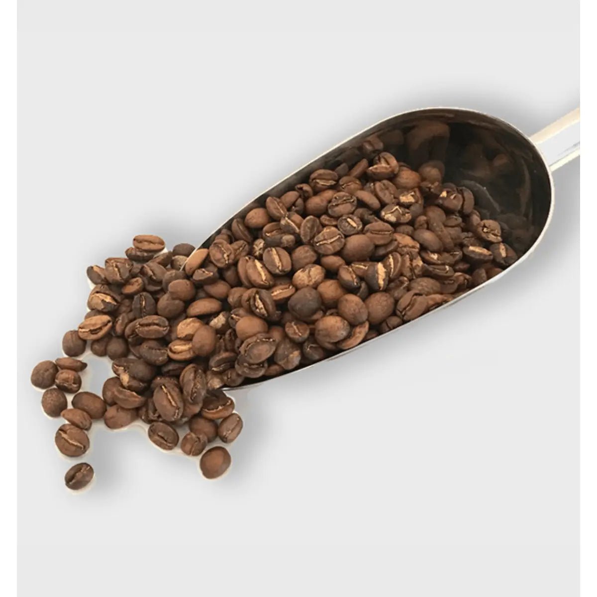 Mont58 - MONT58 Ethiopia Organic Coffee Beans - Coffee Beans - Prime Coffee Suppliers