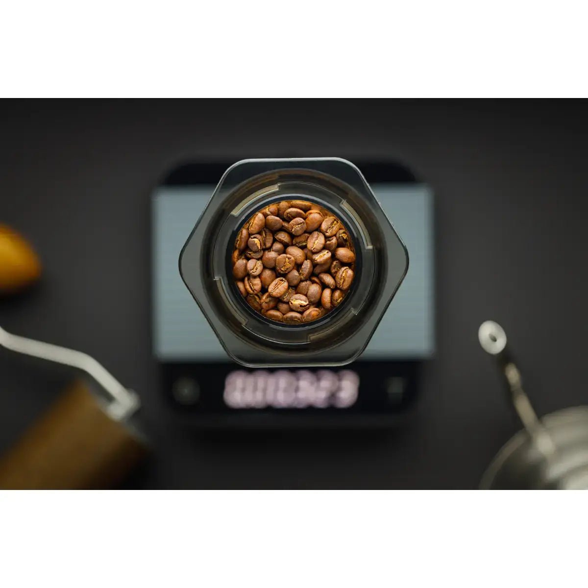 Mont58 - MONT58 Ethiopia Single Origin Coffee Beans - Coffee Beans - Prime Coffee Suppliers