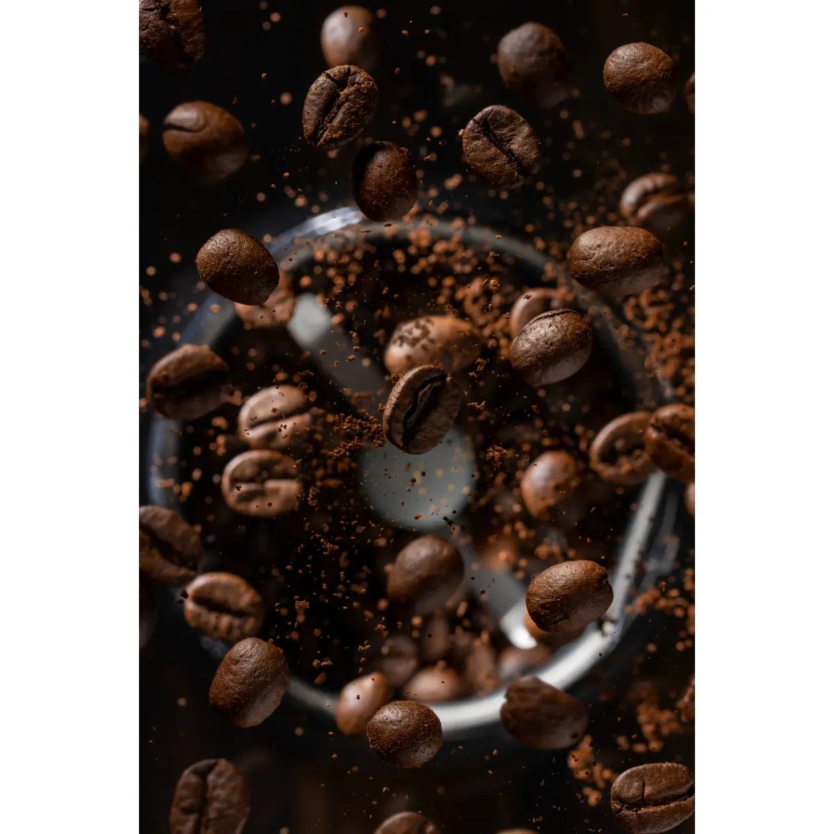 Mont58 - MONT58 Indonesia Single Origin Coffee Beans - Coffee Beans - Prime Coffee Suppliers