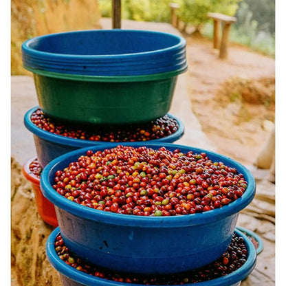 Mont58 - MONT58 Rwanda Single Origin Coffee Beans - Coffee Beans - Prime Coffee Suppliers