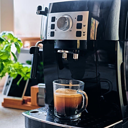 Rex - Royal - Rex - Royal Site Survey - Additional Service - Prime Coffee Suppliers