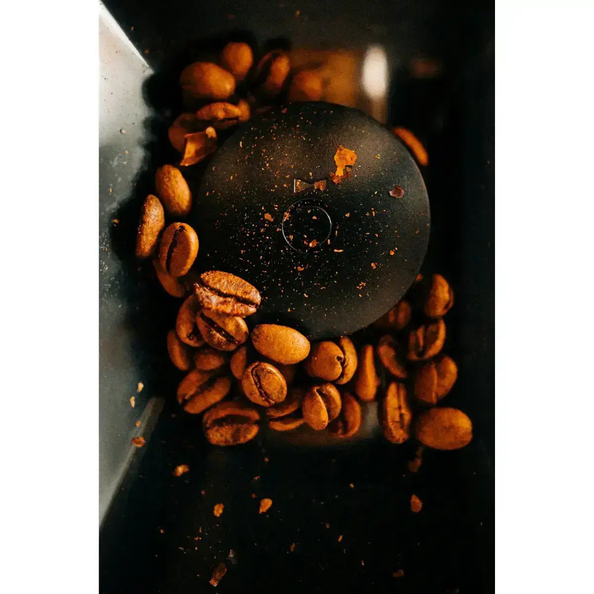 Rocket Espresso - Rocket R58 BLACK Edition! - R Cinquantotto Espresso Machine + Giannino Grinder + Specht Timber Kit - Home Bundle Kit - Espresso Machine - Prime Coffee Suppliers